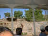 WillFieldTrip-21JAN05-WildAnimalPark-21.JPG (111678 bytes)