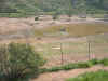 WillFieldTrip-21JAN05-WildAnimalPark-23.JPG (135762 bytes)