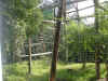 WillFieldTrip-21JAN05-WildAnimalPark-35.JPG (182741 bytes)